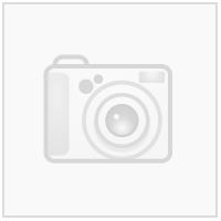 Nebula Woman Shorts GRN XXL Teknisk kamp-og treningsshorts til dame